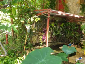 Art floral à Montauroux