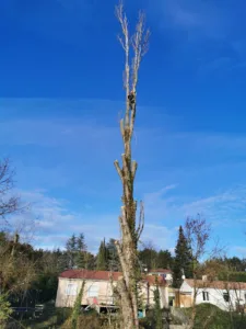 MCM Jardin Service à Aouste-sur-Sye