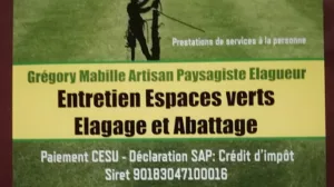 Grégory Mabille Élagage, Abattage, Arboriste grimpeur à Rives-en-Seine