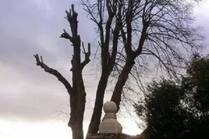 Espace Vert Du Val de l’Aisne Paysagiste à Vailly-sur-Aisne