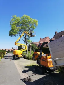 ARBOREAL Landscaping (Elagage) à Ligny-Thilloy