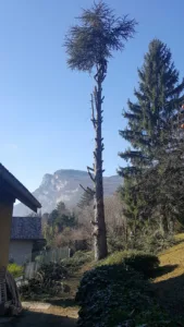 DG Nature à Saint-Paul-de-Varces
