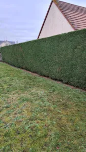 Jardin Dezetree à Saint-Luperce
