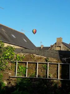 paysagiste entretien de jardin à Dinan