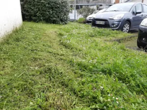 Parcs et Jardins du Médoc à Saint-Laurent-Médoc