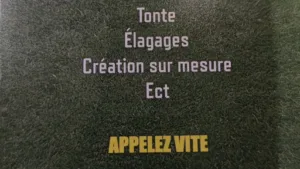 Espaces Verts Services à Viviès