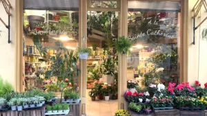 Jardinerie à la Sainte Catherine… à Beaulieu-sur-Mer