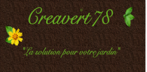 creavert78 à Hermeray
