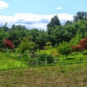 FRED PAYSAGES à Villejust