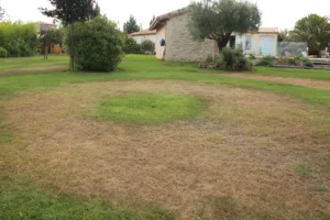Zanello Domenico à Gigean