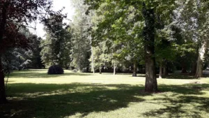 Sasu N.S.R à Ermenonville