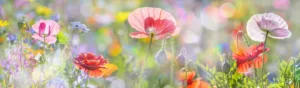 Ecogarden à Dourdan