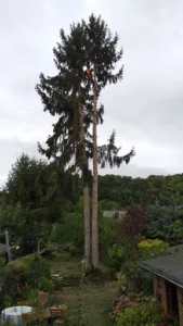PETIT CHRISTOPHE à Vendôme