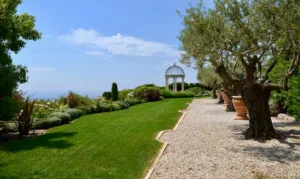 Paysages et Jardins de Provence à Vallauris