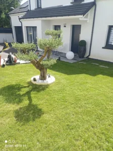 WEI PAYSAGES – Aménagement, création et entretien des espaces verts – Seine et Marne à Vert-Saint-Denis