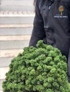 La Couleur des Jardins à Forbach