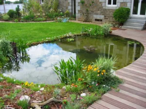 JCB Aquatique et Paysage à Liffré