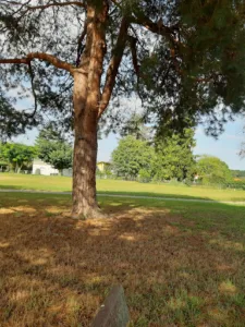 Art et Paysages à Rivehaute