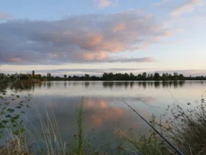Vergnes Jean-Pierre Daniel à Verdun-sur-Garonne