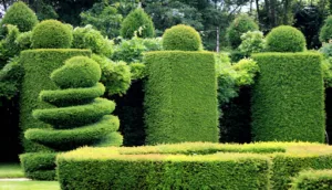 Vésubie Espaces verts et jardins à Lantosque