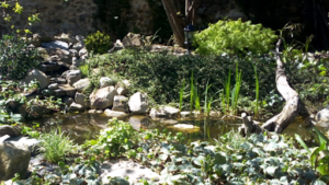 Durand Paysages à Saint-Jean-de-Crieulon
