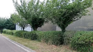 SARL VINCENT PAYSAGES à Bercenay-le-Hayer