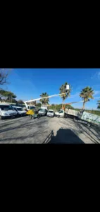 mon jardin se crée à Marseillan