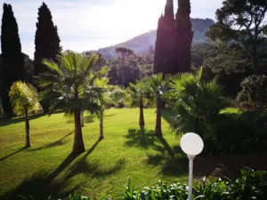Picon paysage à Hyères