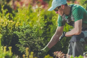 Paysagiste 27 entretien Espaces Verts 27 M PARISY à Saint-André-de-l'Eure