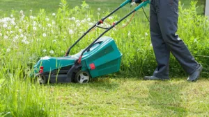 SERVICE NET ENVIRONNEMENT à Primarette