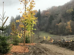 Natur Décor SAS à Saint-Jeoire