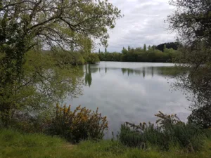 le jardinier d’heol à Plougasnou