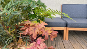 DEHORS Jardinier Paysagiste à Pantin