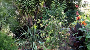 Passion Jardin En Provence à Camps-la-Source