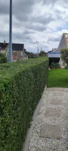 Les jardins de julien à Tamerville