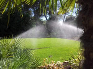 JARDINEA PAYSAGISTE à Mougins