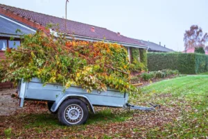 Le Coz Entretien Jardin – Paysagiste à Plougonvelin