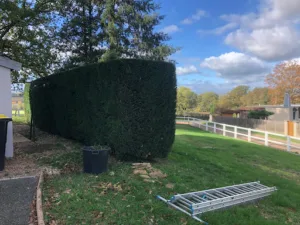 Esprit Vert Services à Perreux