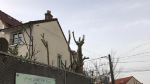 DOERR ELAGAGE 93 – Elagueur, Abattage d’arbres, Taille de haie, Dessouchage arbre et haie, Paysagiste, Jardinier, Pose abris de jardin, Pose et changement de clôture et grillage en Seine-Saint-Denis 93 Ile-de-France à Les Pavillons-sous-Bois