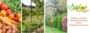 O’Bio Potager à Orée-d'Anjou