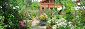 Jardinerie Farrenq à Saint-Maur-des-Fossés