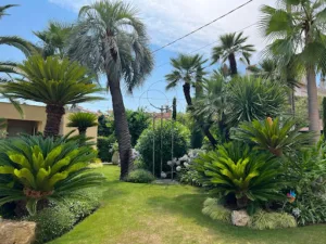 greenworld gwd à Fréjus