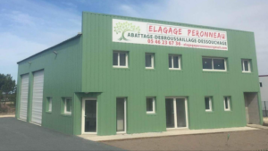 Elagage Peronneau à Les Mathes