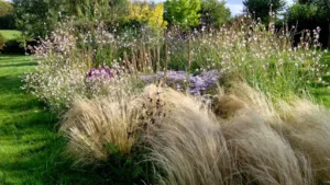 COULEURS JARDINS ET PAYSAGES à La Souterraine