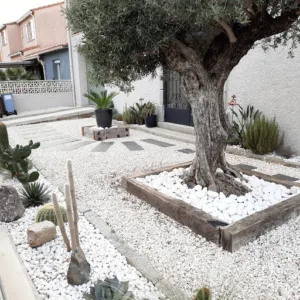 Doineau Jean Pierre à Saint-Cyprien