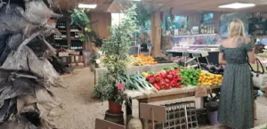 MURS VEGETAUX à Gassin