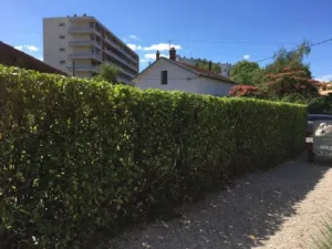 Mathieu Achard à Romans-sur-Isère