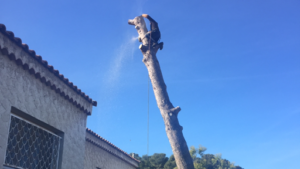 Fred Espaces Verts à Châteauneuf-les-Martigues