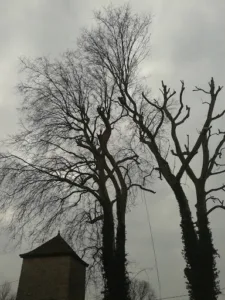 ceg à Mâcon
