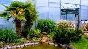 Arbres et Jardins de Souday à Couëtron-au-Perche